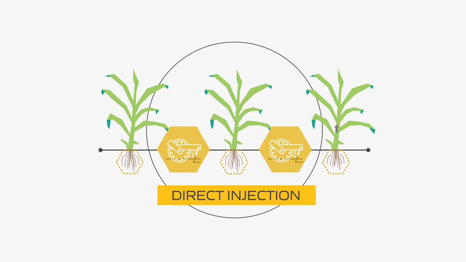 animation by tousue vang