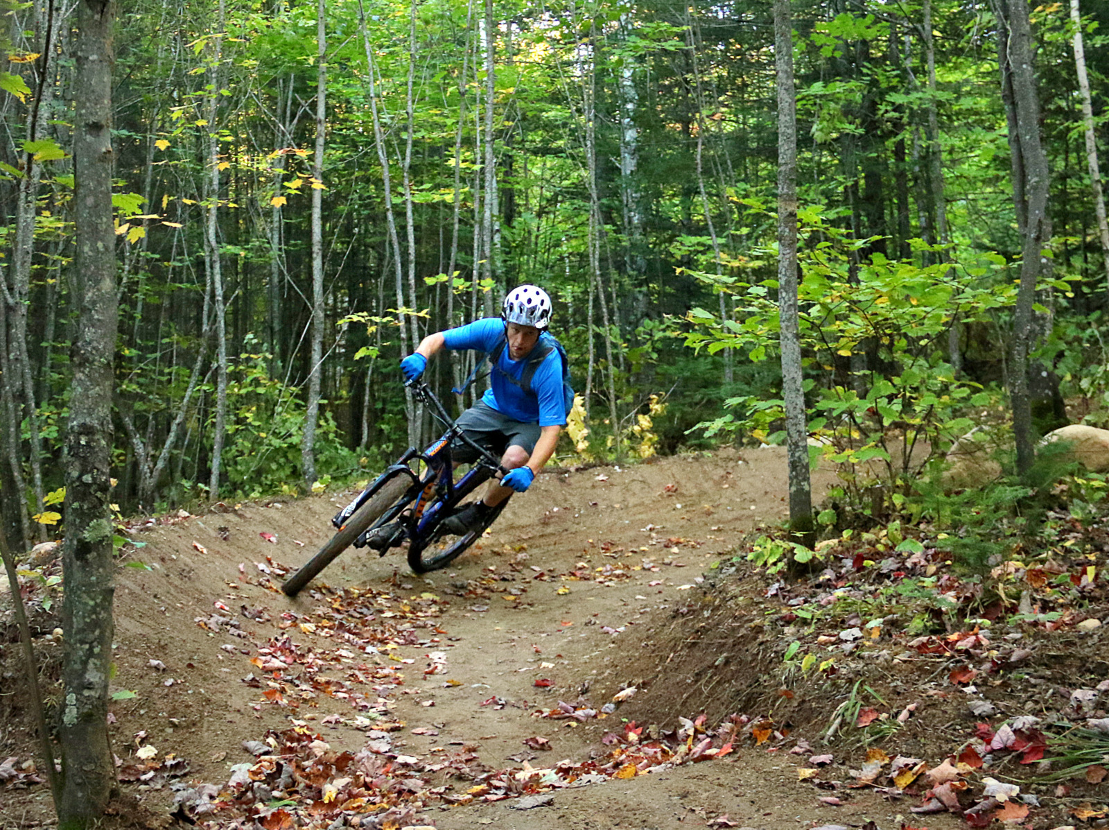 Photo Credit: Paul Pluskwi Berms!