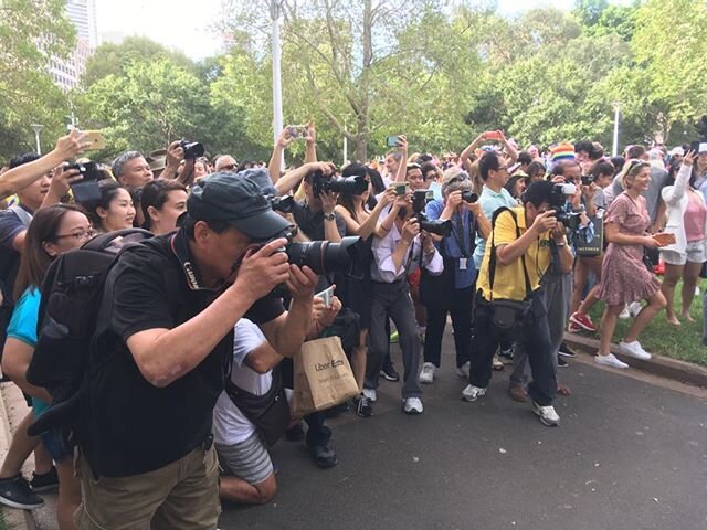 Photographers at the Hyde Park build up to Mardi Gras.