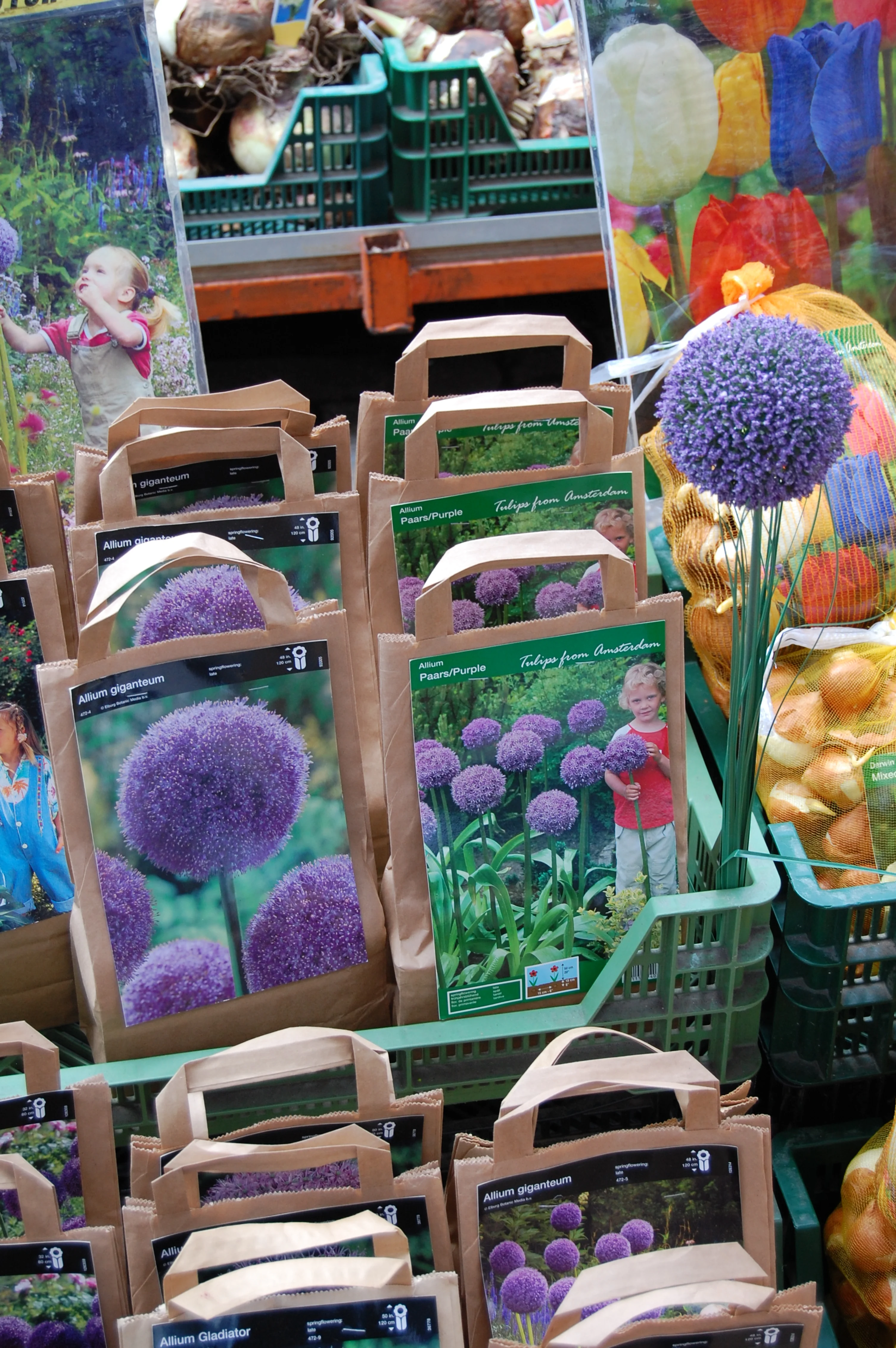 Amsterdam, Netherlands