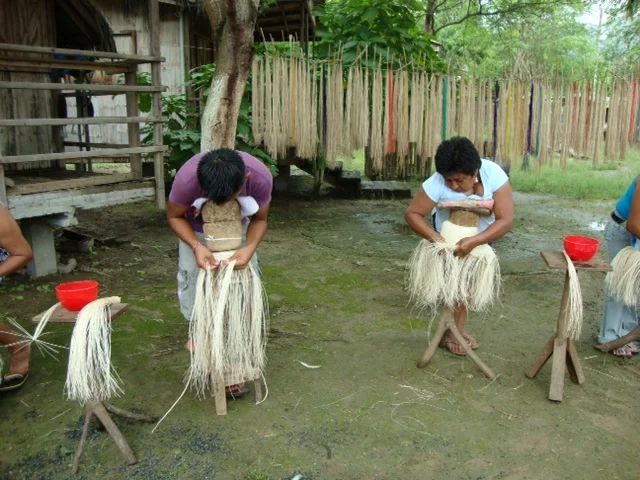  Photo courtesy of Sandra Adey. Taken in Manta Ecuador. 