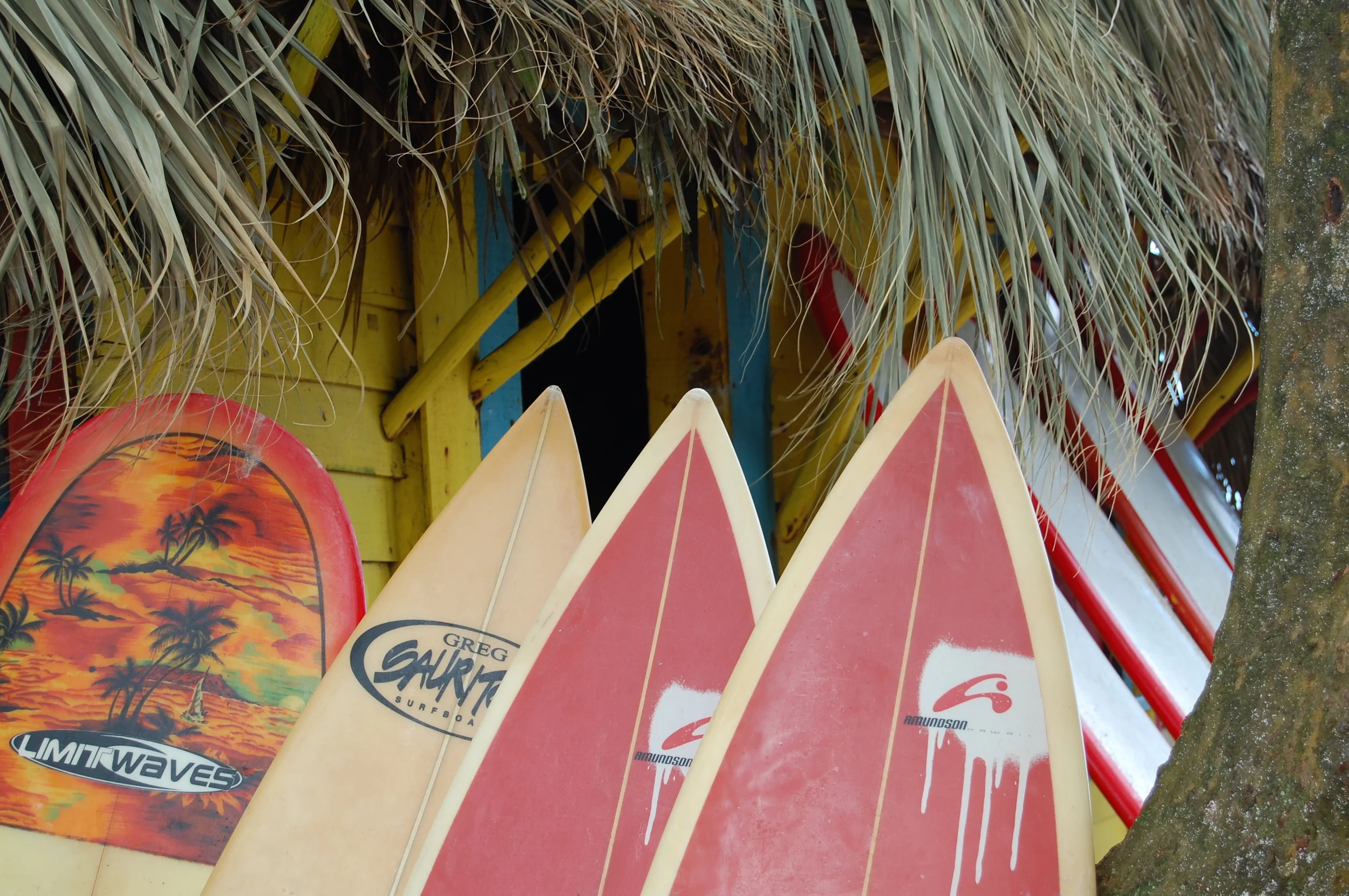  Surfing at Playa Escondido, near Sosua, Dominican Republic 