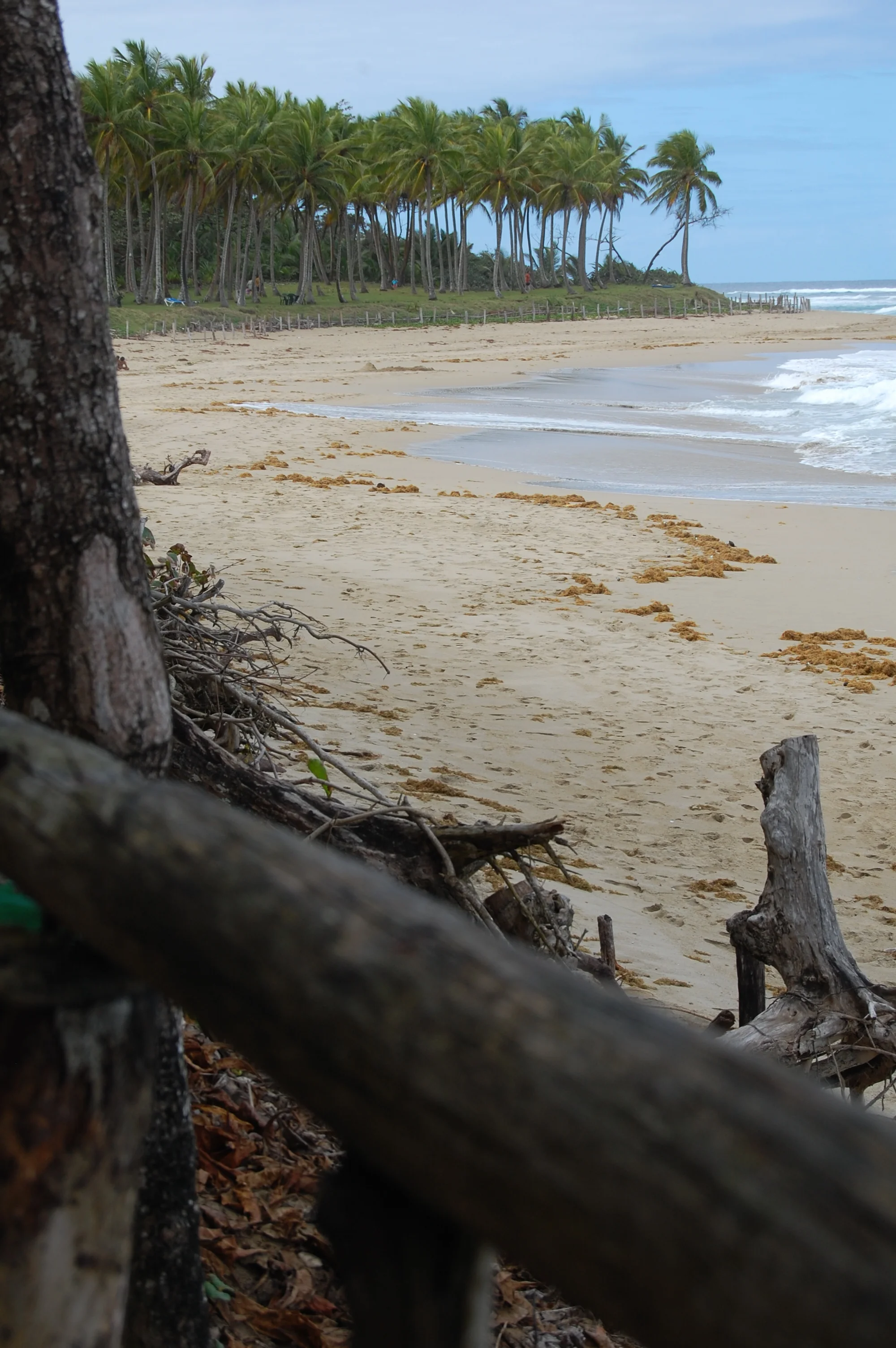 Playa Escondido, near Sosua, Dominican Republic