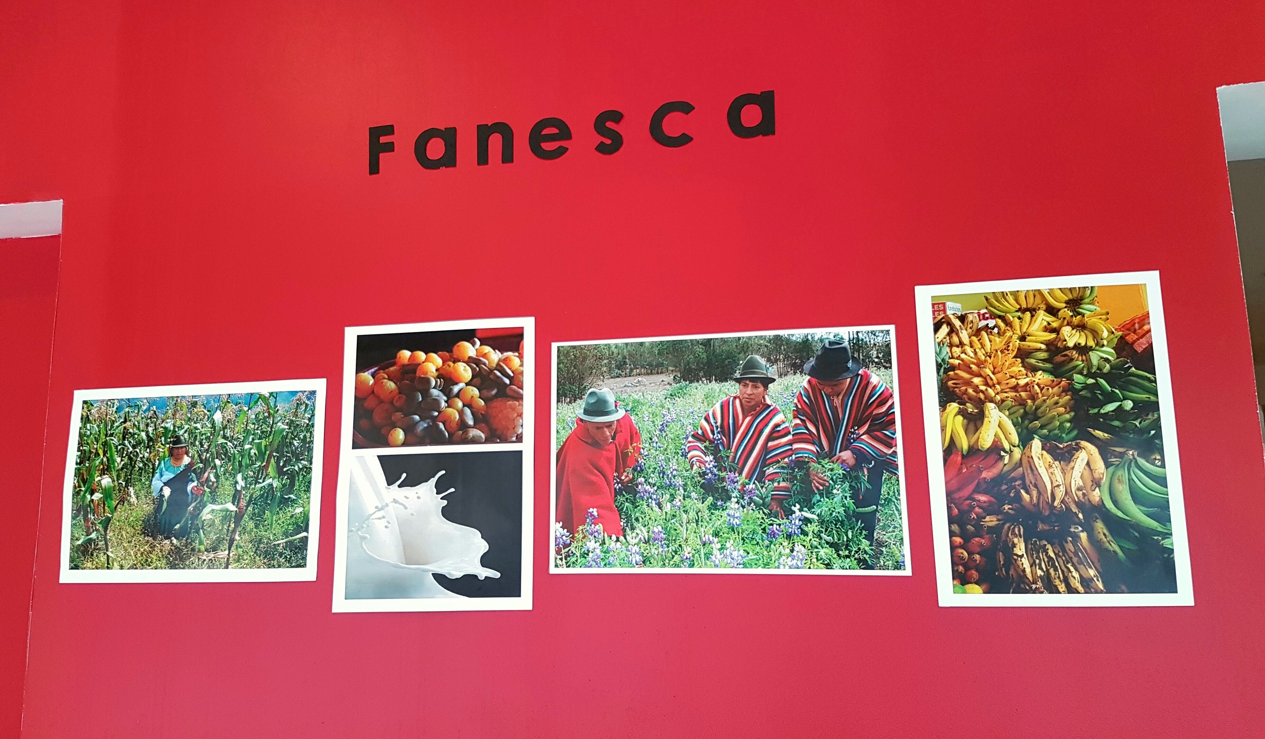 A photo display about Fanesca inside Achiote restaurant.