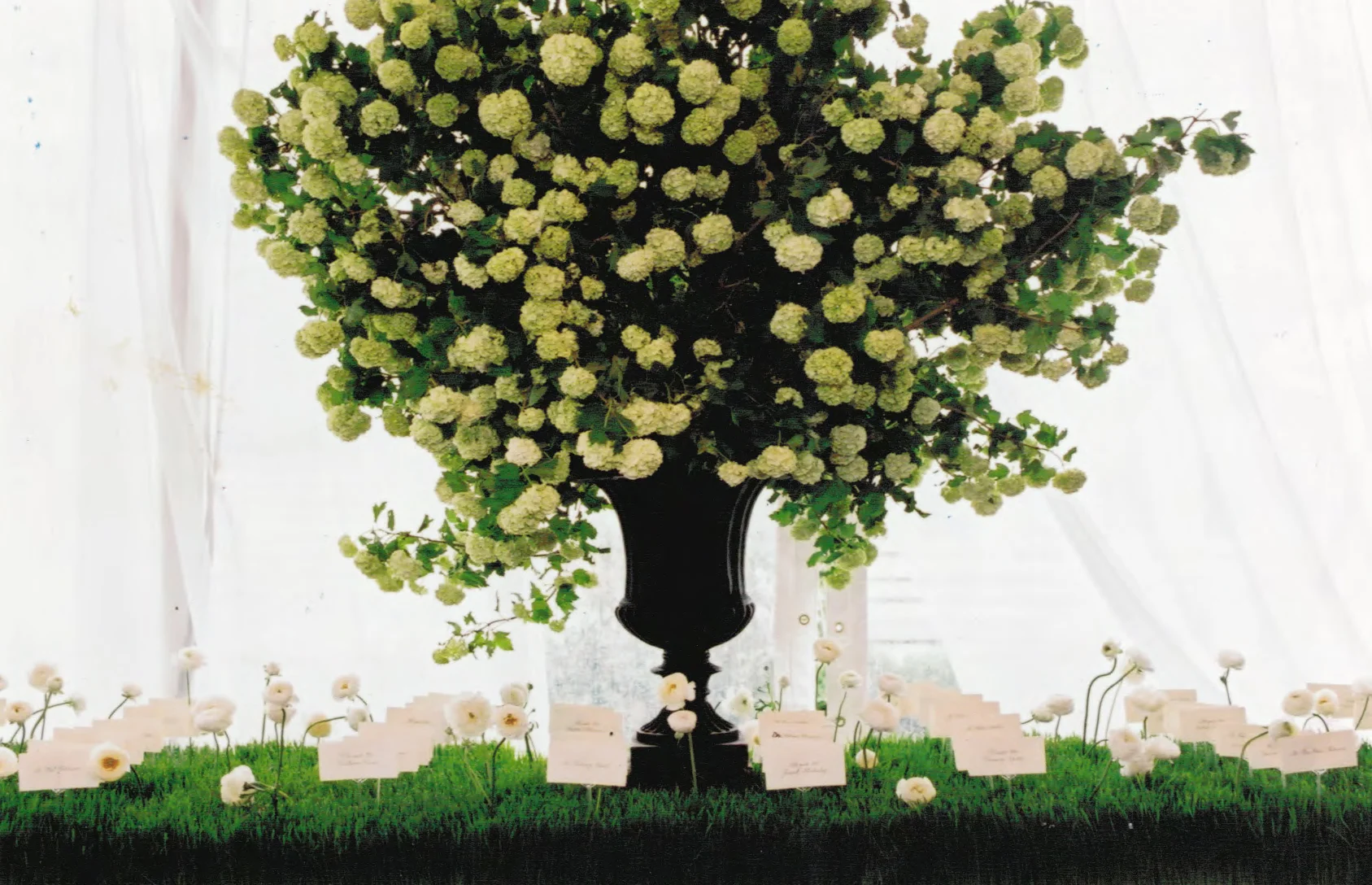 Wedding reception, Escort card table: Westport CT.