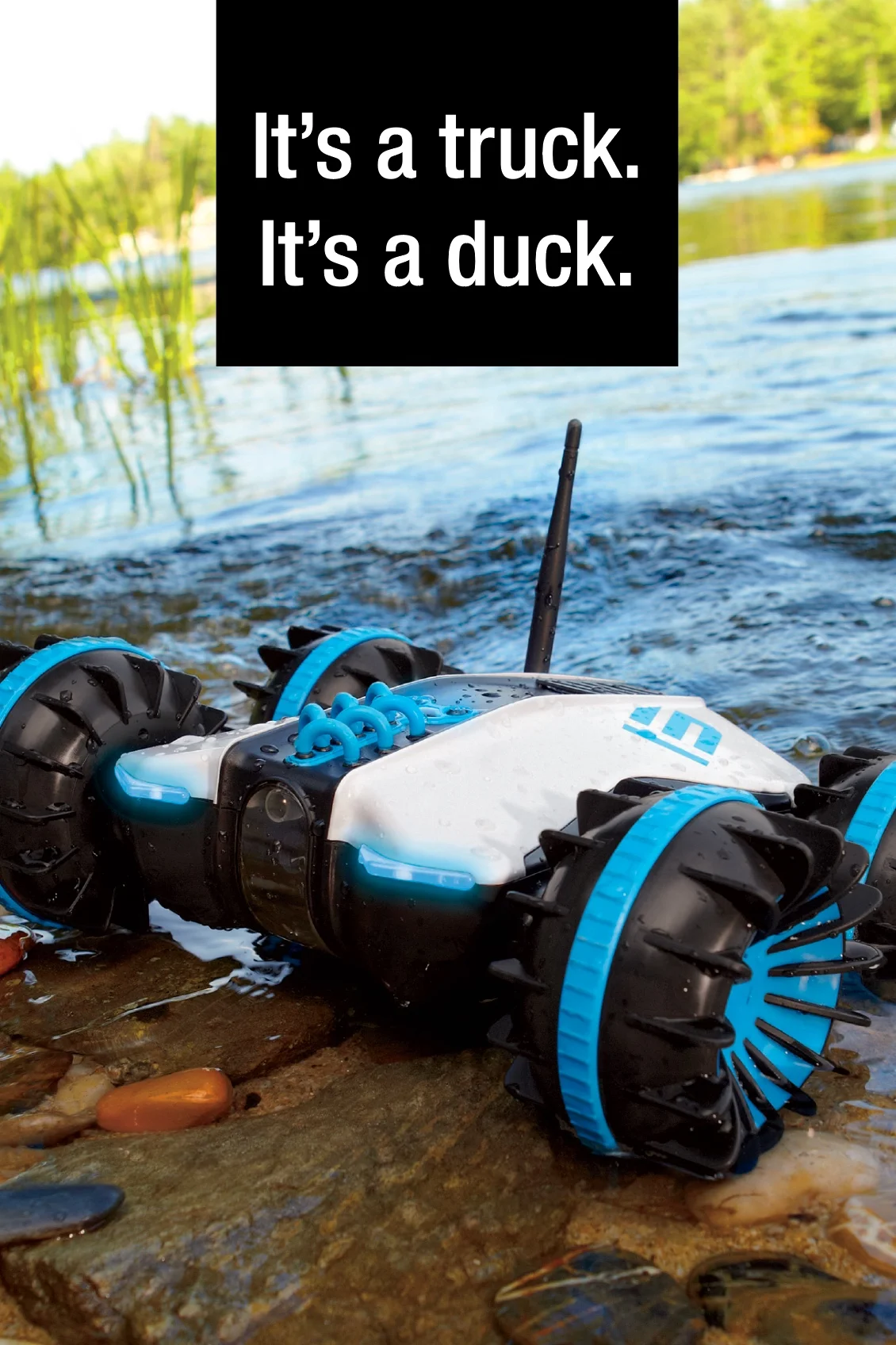 Truck Duck.jpeg