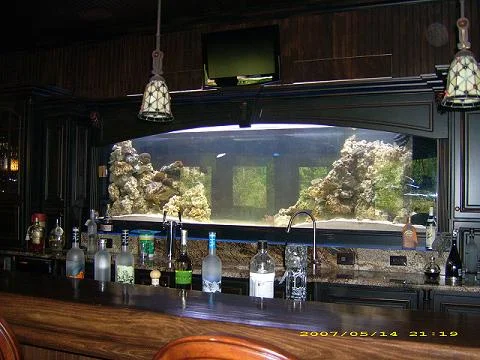 Lopez Basement 2.JPG