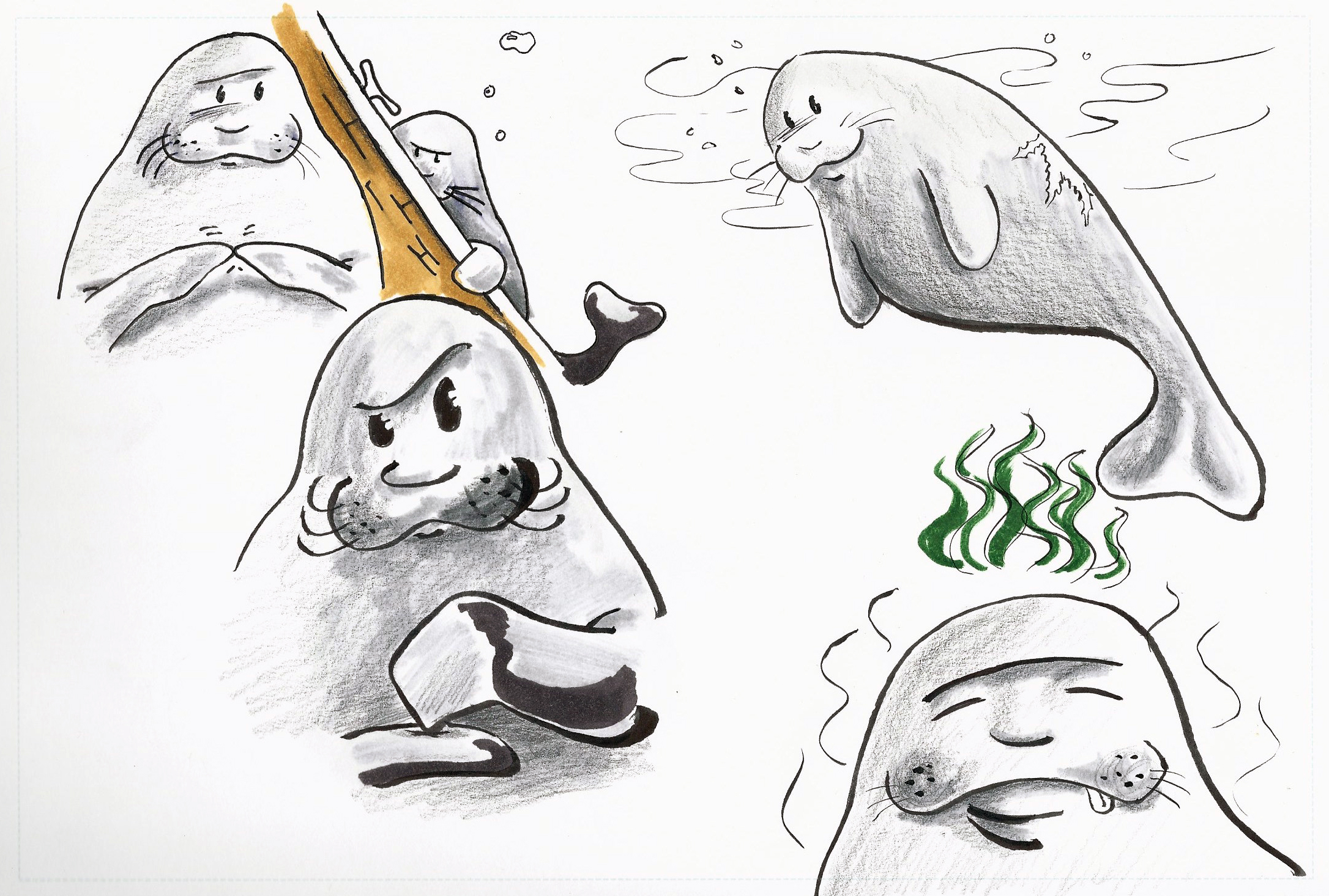 Manatee Character Emotions