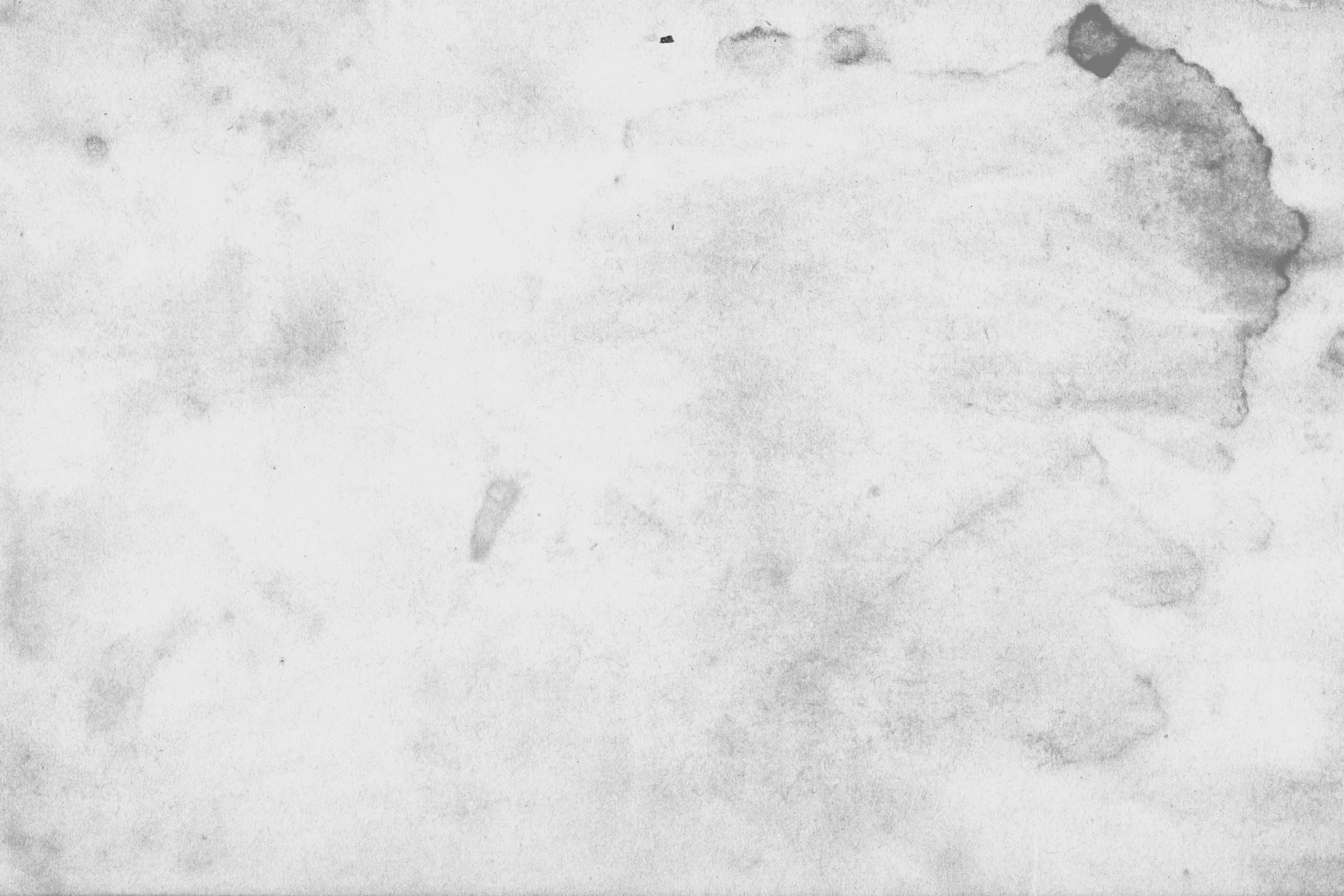 LT_WhiteGrunge_07.jpg