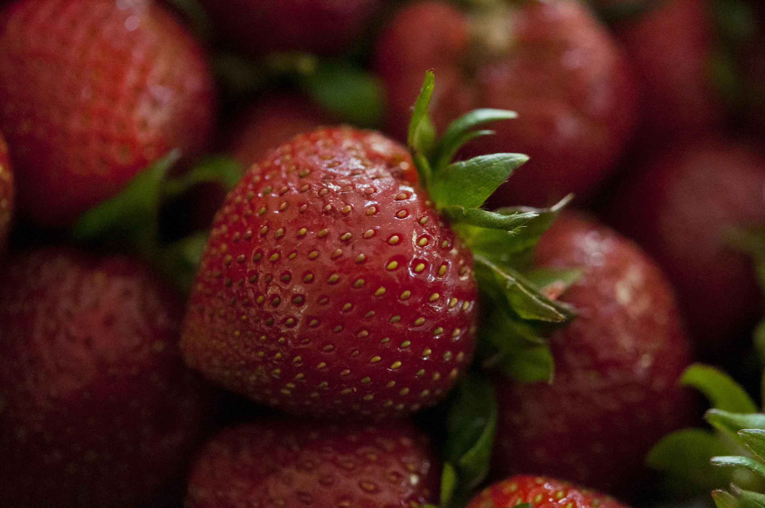 strawberry1.jpg