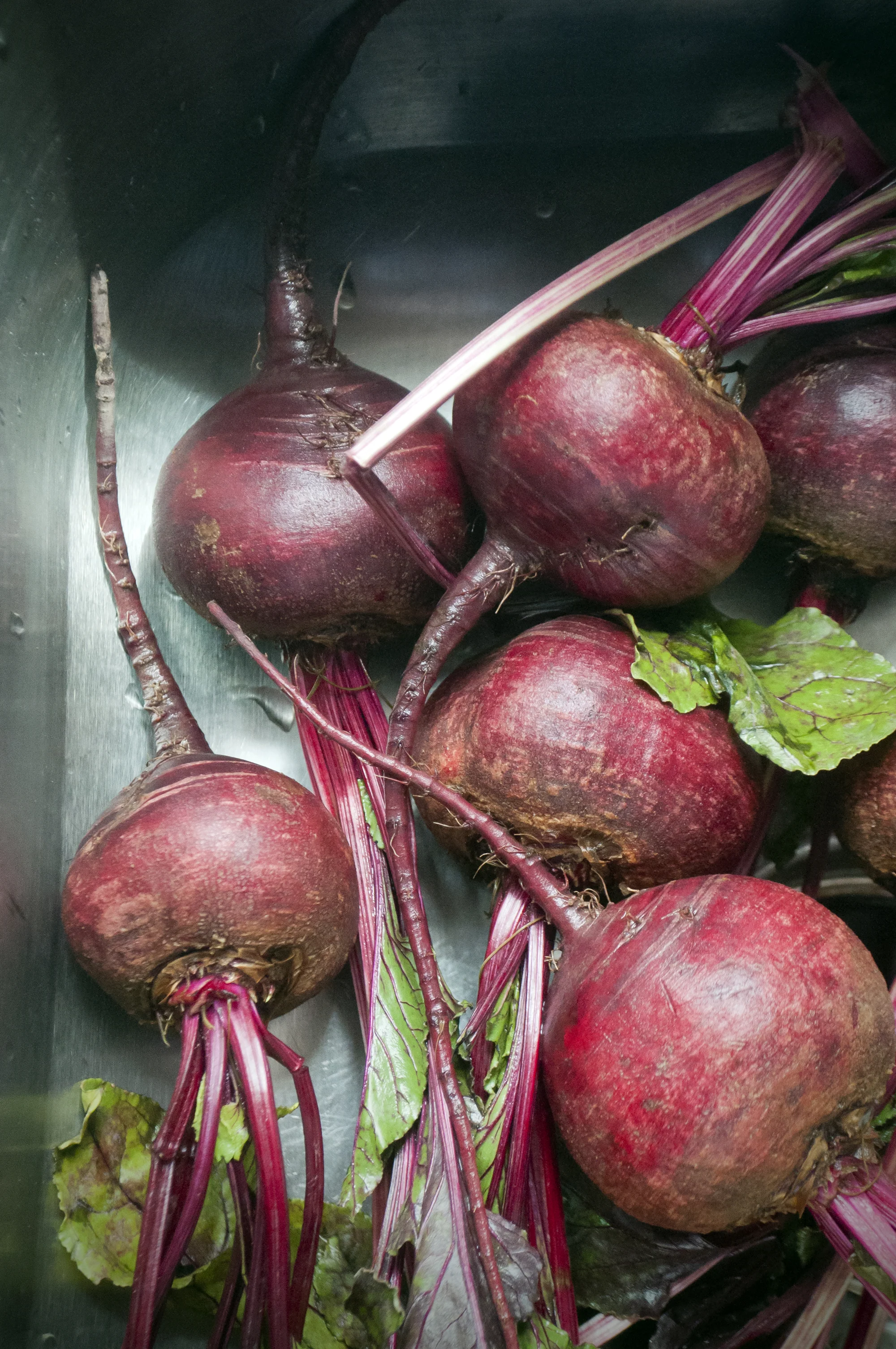 beets.jpg