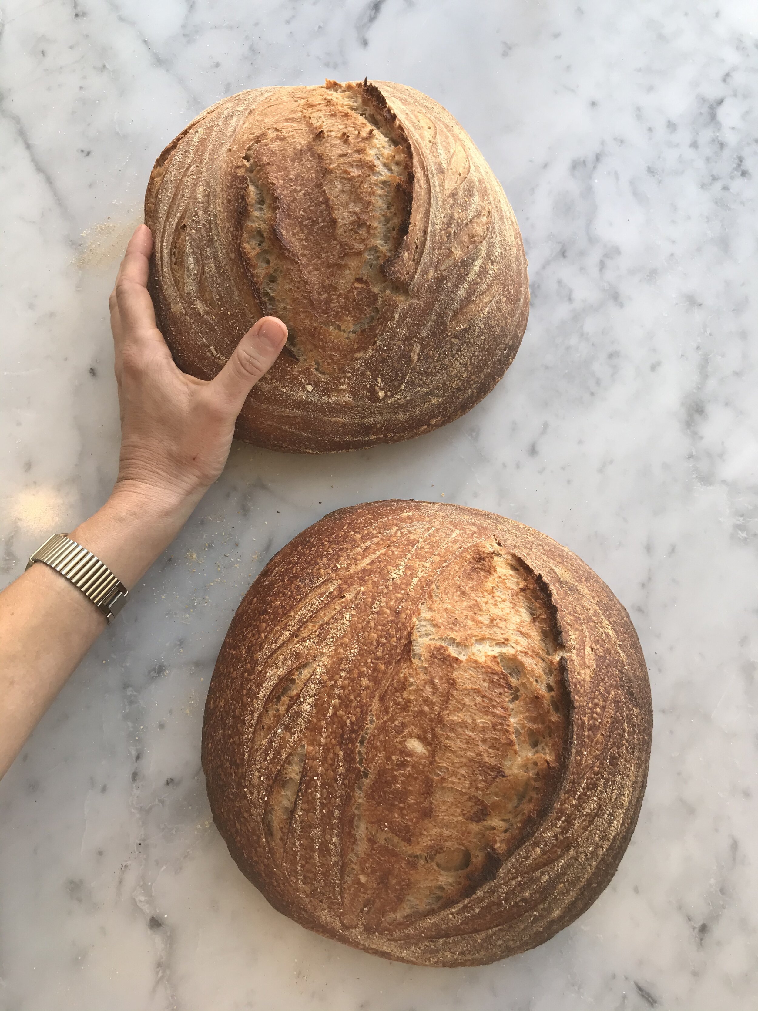 0E798424-165E-4323-A88E-15085A36F386