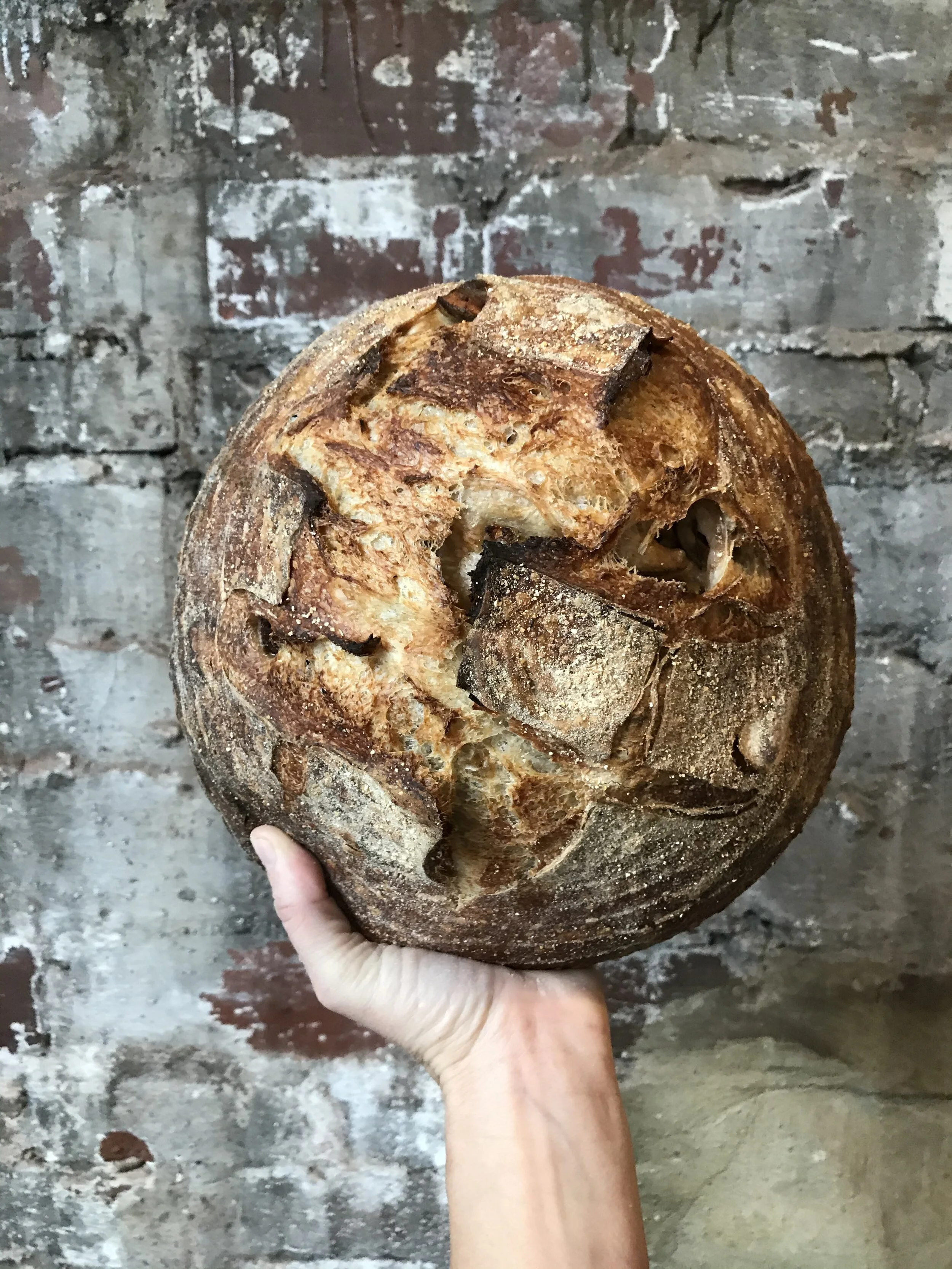 E55BBF5D-513E-4F70-8C73-2D1336402EE9