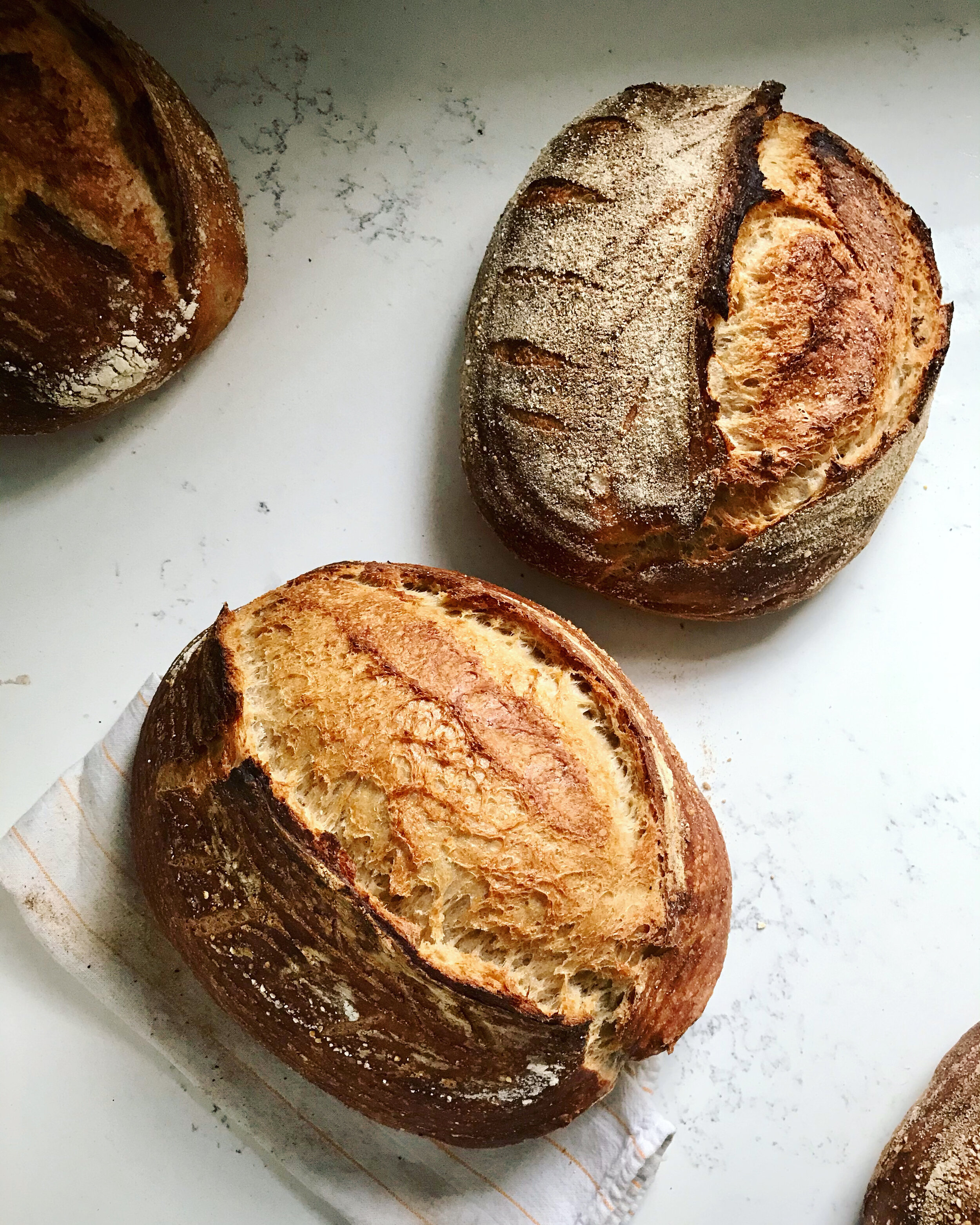 Mini Loaf Pan - Mini Bread Loaf Pan - Kitchen - Miles Kimball