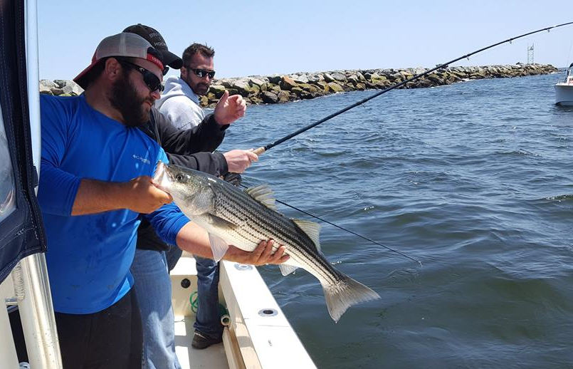 Nice pic by JJ of a 27" caught live lining a mackerel in the Merrimack River