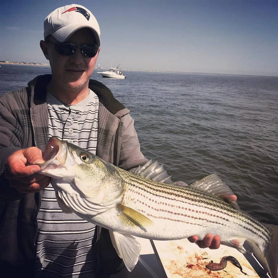 Speaking of JJ..here he is with a keepah in the Merrimack River. See you on Saturday for another trip on Manolin Charters!