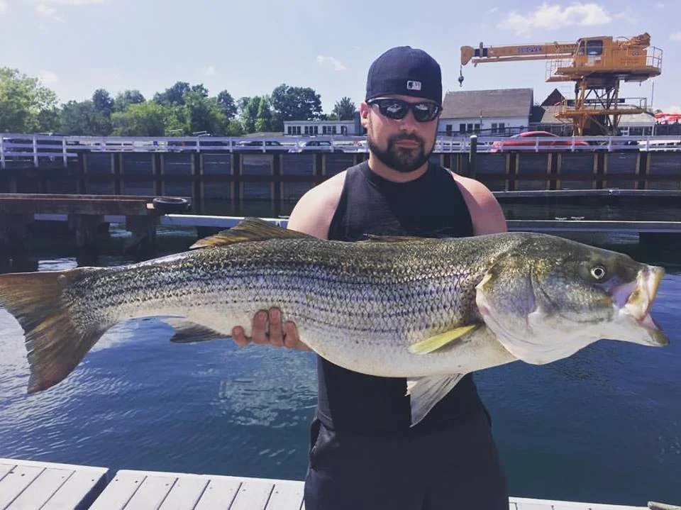 Jay with a 49" 40 pound monster today! His crew caught 4 keeper stripers all together and plenty of 27 on his Merrimack River charter!
