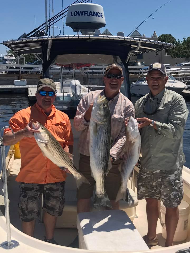 charter boat deep sea stripers.jpg