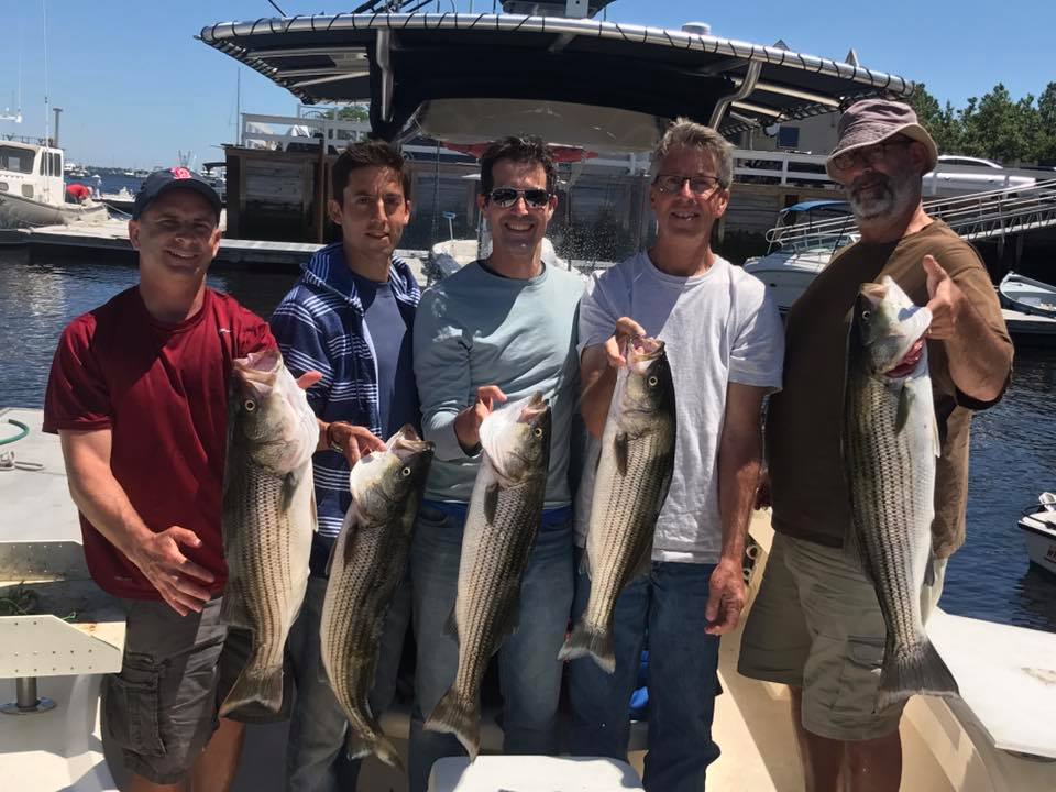 striped bass charter salisbury north shore.jpg