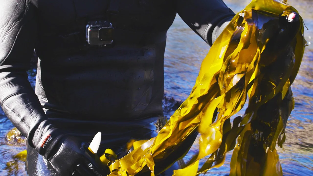 EAT_DPD_009_seaweed_THUMB_Textless.jpg
