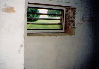   Same windows from inside the basement/kitchen.  