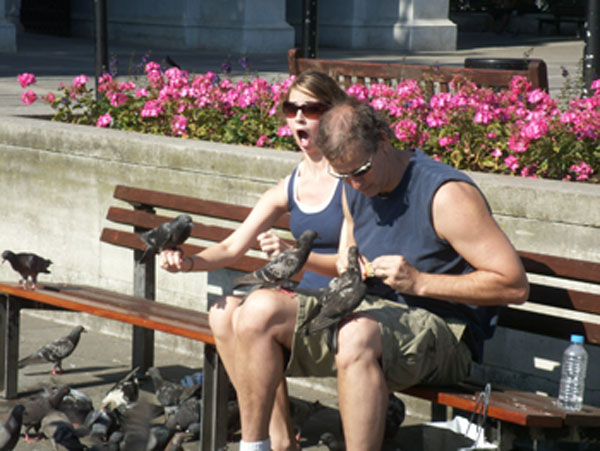   Last stop was to feed the birds. Our 17 yr old didn't expect them to be quite so friendly. ;-)  