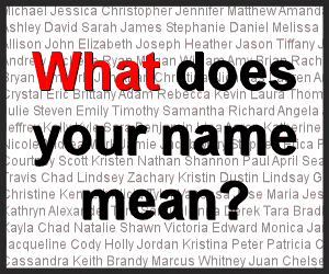 Names and identity are important themes in Fair Play . Have each member research his or her name and its meaning. Discuss how these names may have impacted their identity or choices.