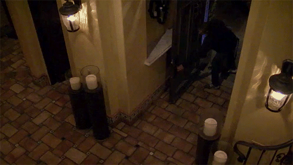 gif10.gif