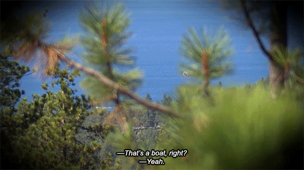 gif1.gif