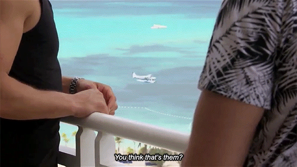 gif5.gif
