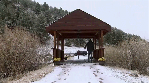 gif15.gif