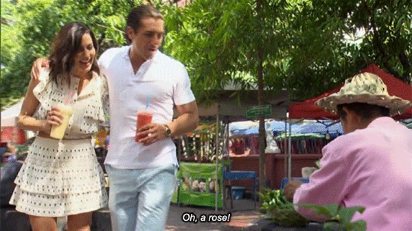 gif6.gif