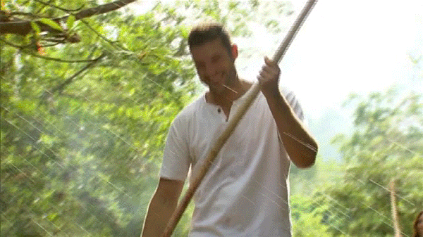 gif11.gif