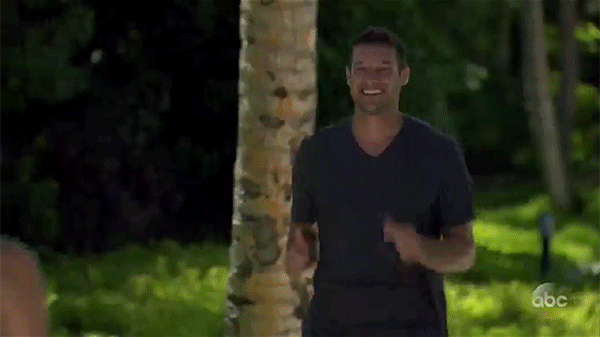 gif8.gif