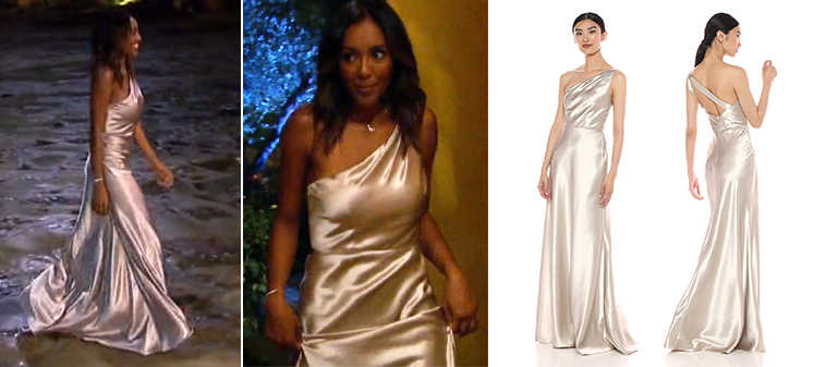 tayshiadress.png