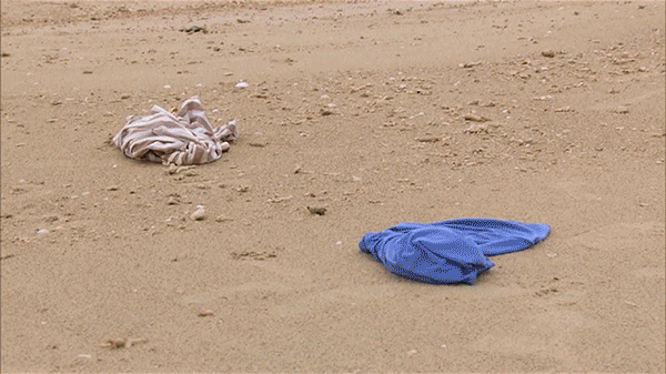 gif11.gif