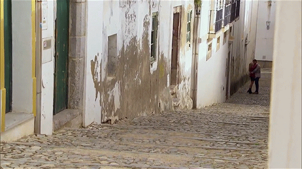 gif5.gif