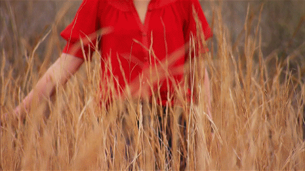 gif1.gif