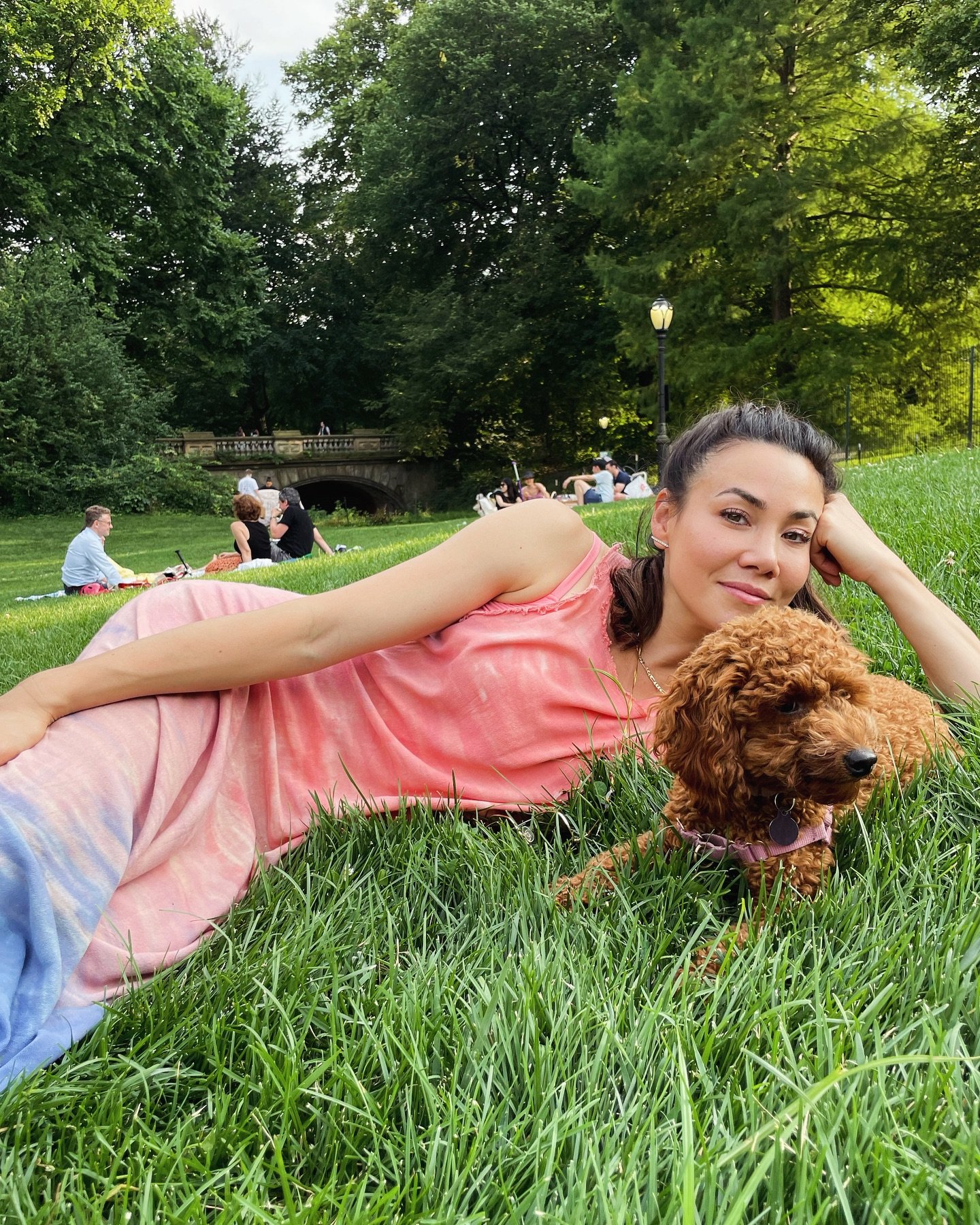 It&rsquo;s official: Summer in the city &lt; Summer in the city with a dog