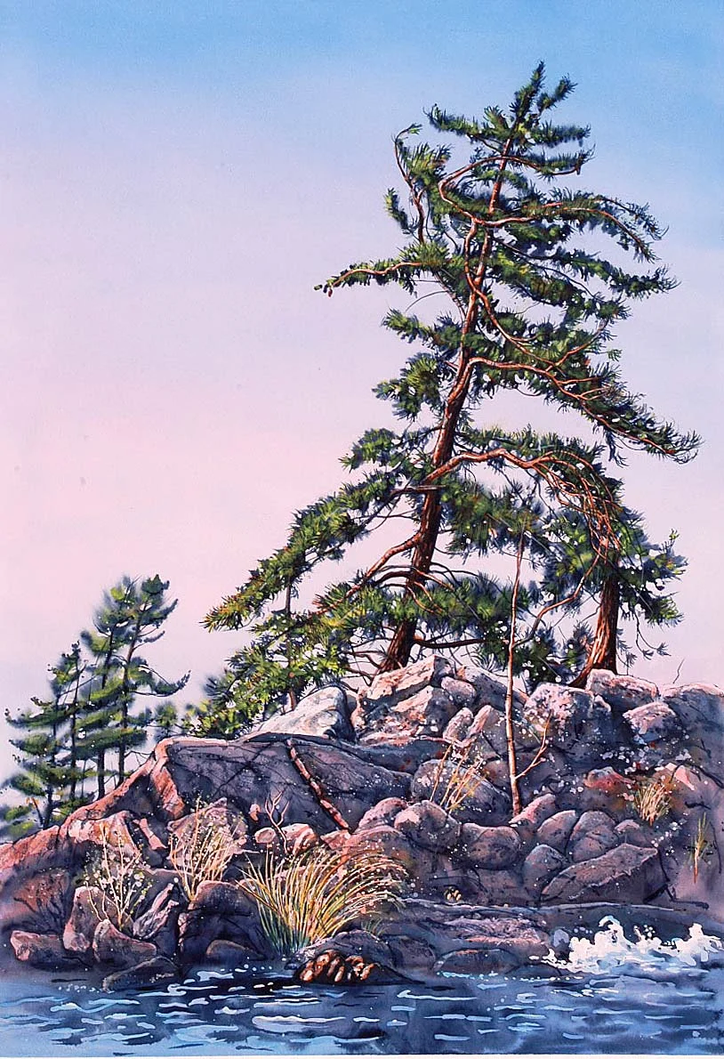 edwards_3368_whitePine.jpg
