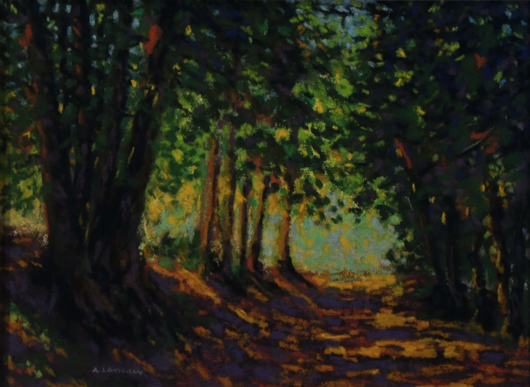 009 AAS - Anne Laidlaw - Canopy.JPG