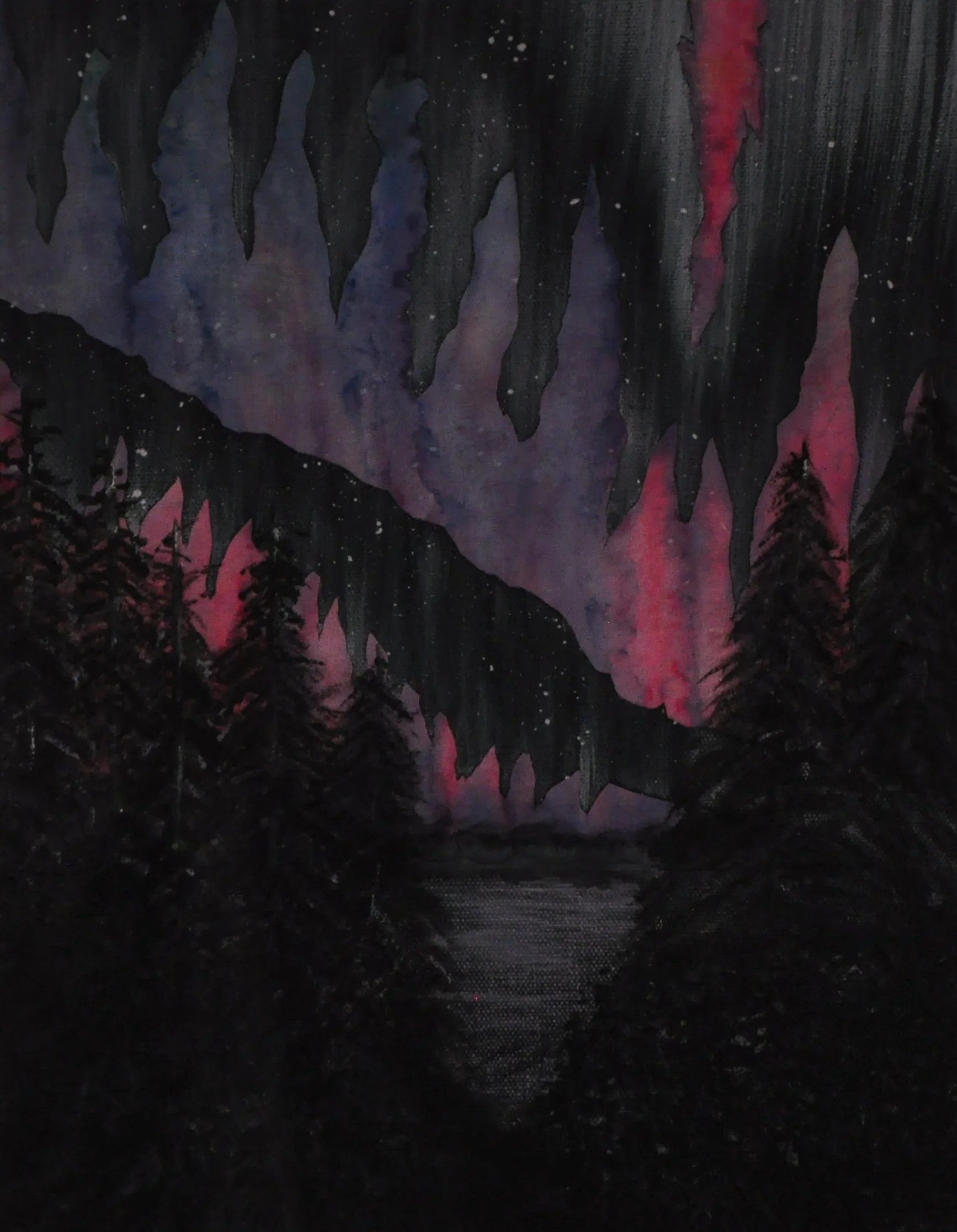 012 MAA - Denise Dufour - Spectacular Aurora.JPG