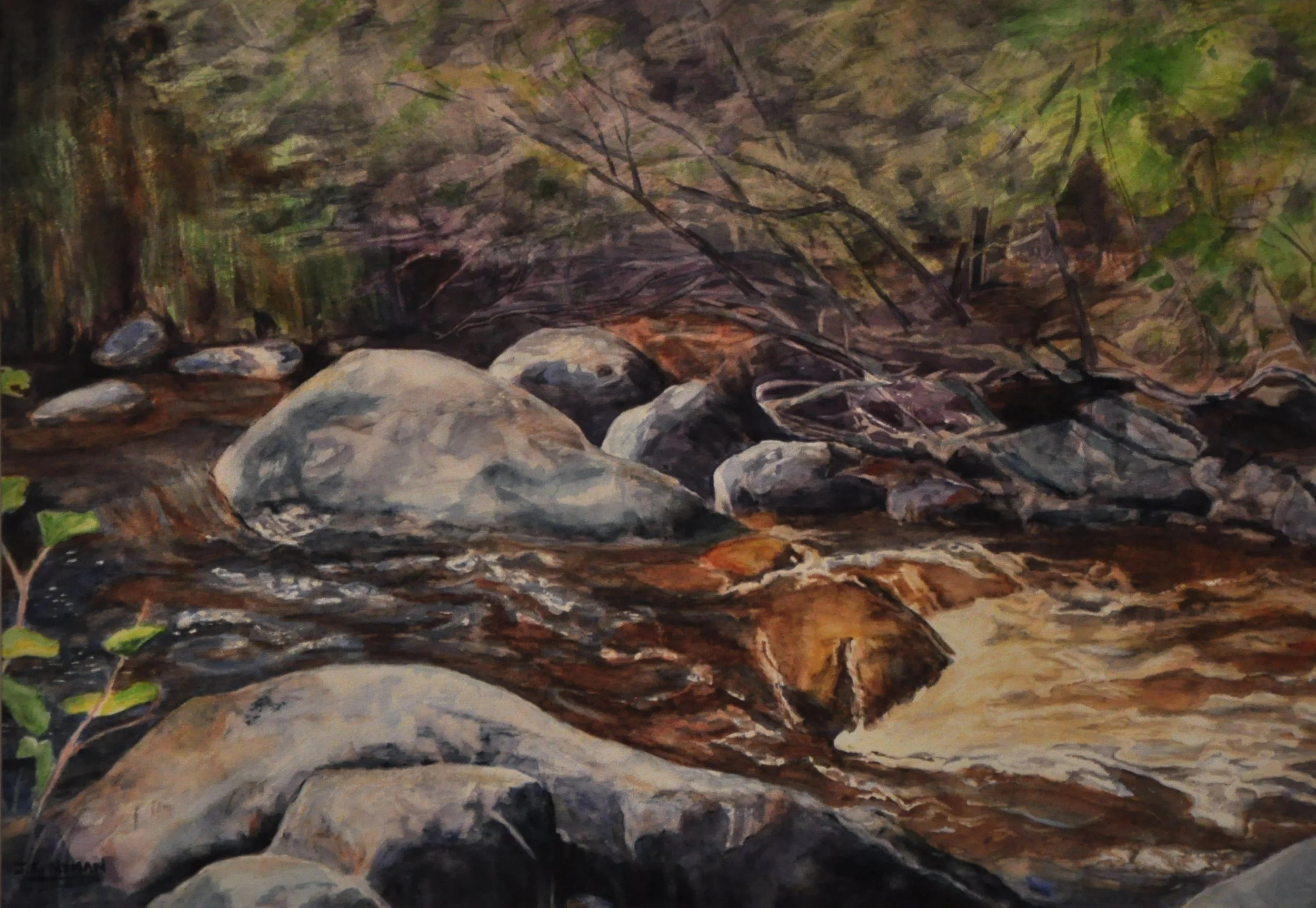 013 PAC - Elaine Nyman - spring Run Off.JPG