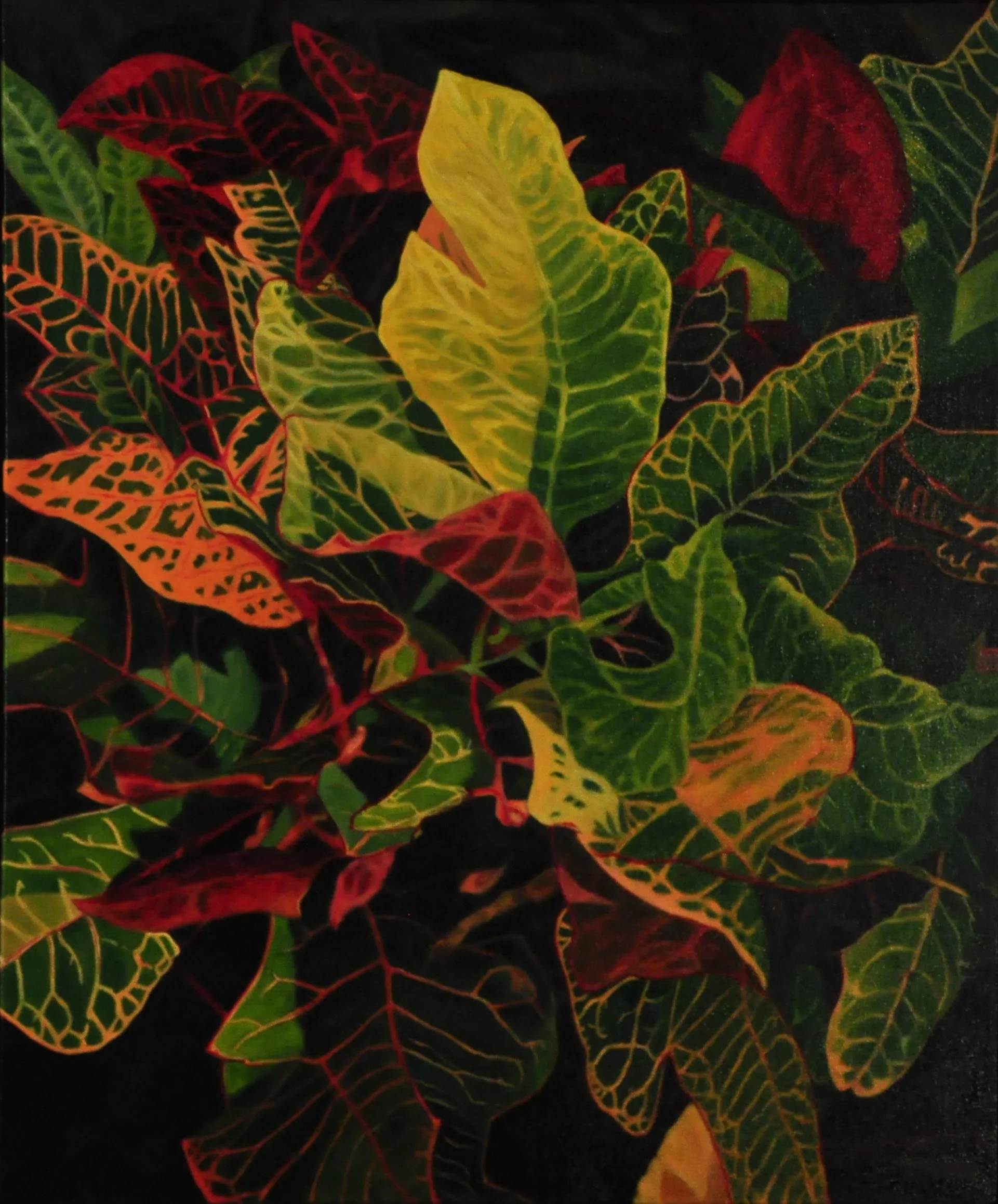 037 SAC - Joan Chivot - Exotica.JPG