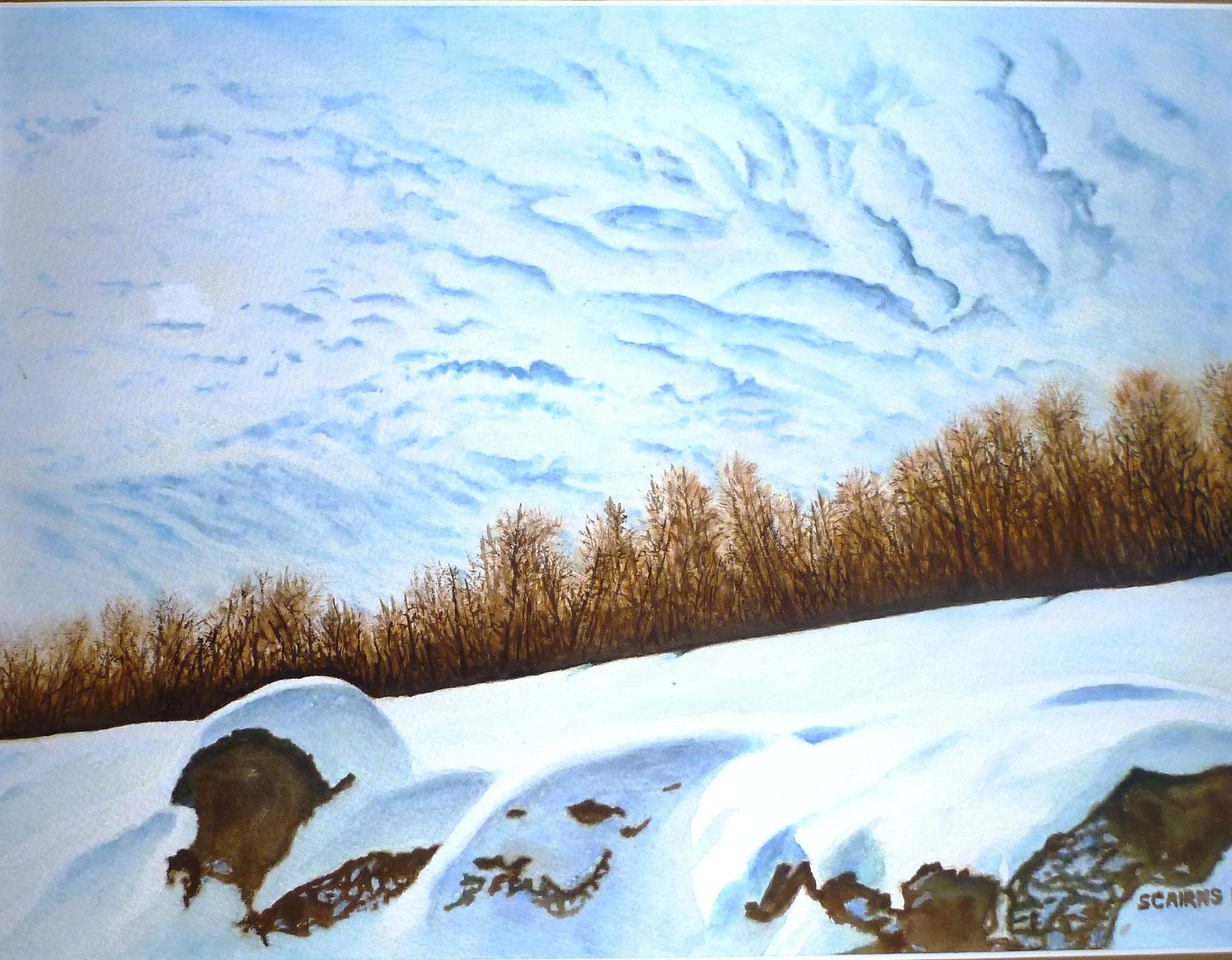 WINTER SKY, WATERCOLOUR BY SUE CAIRNS MFAA
