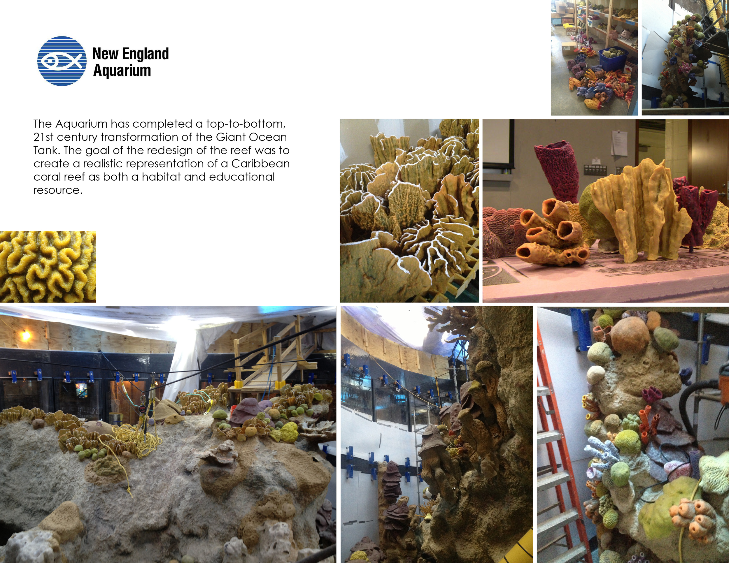 New England Aquarium Giant Ocean Tank Remodel