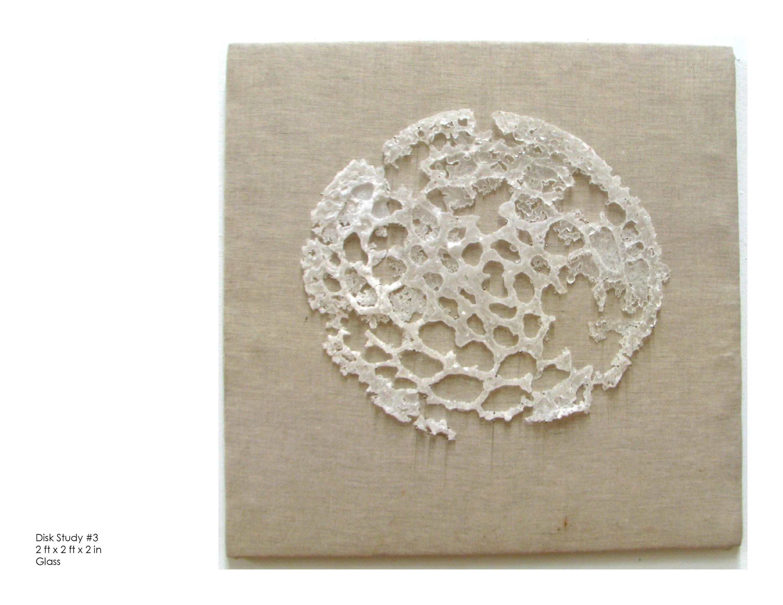 Disk Study #3