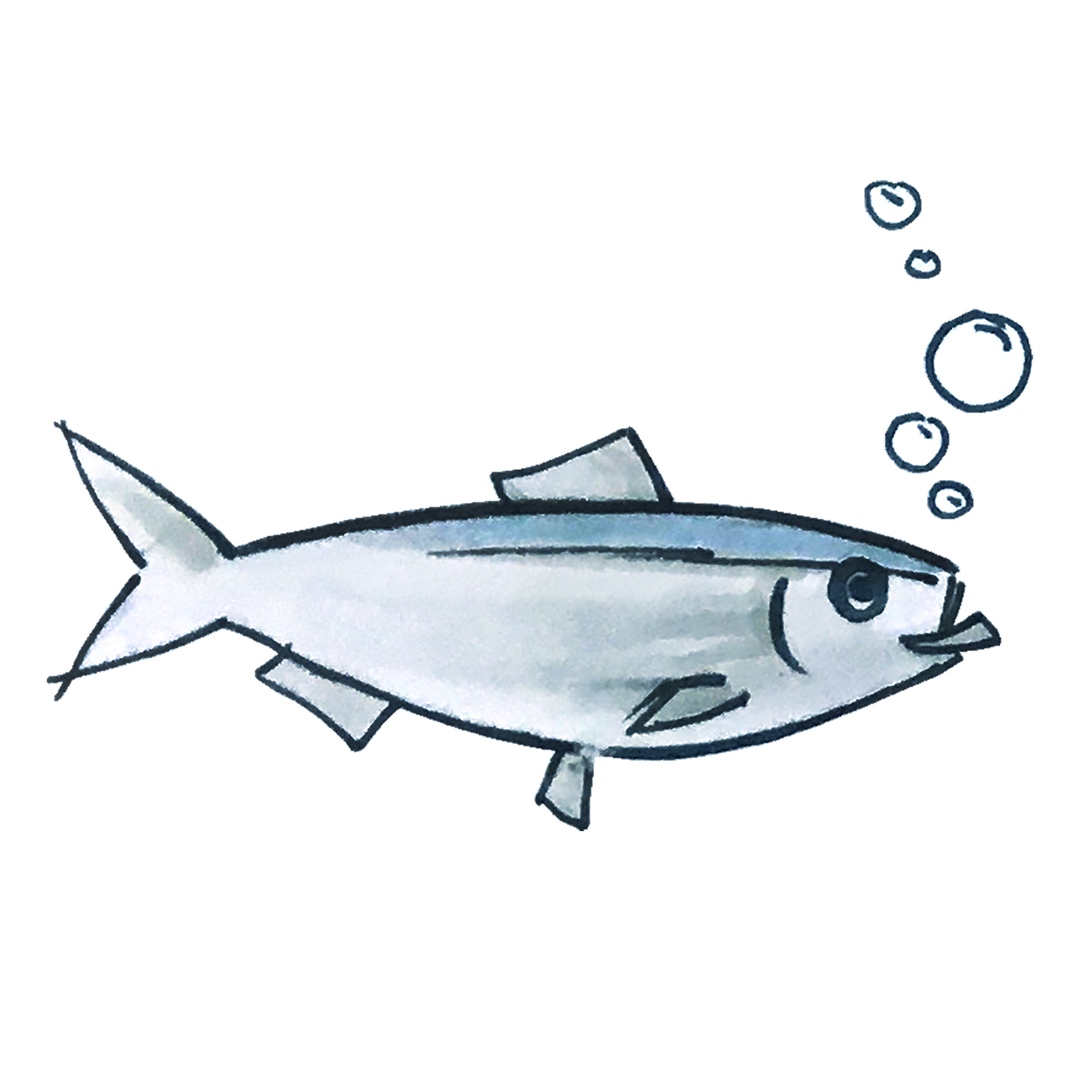 VR Schooling Fish