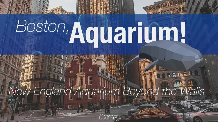 NEAq AR App Experience Concept