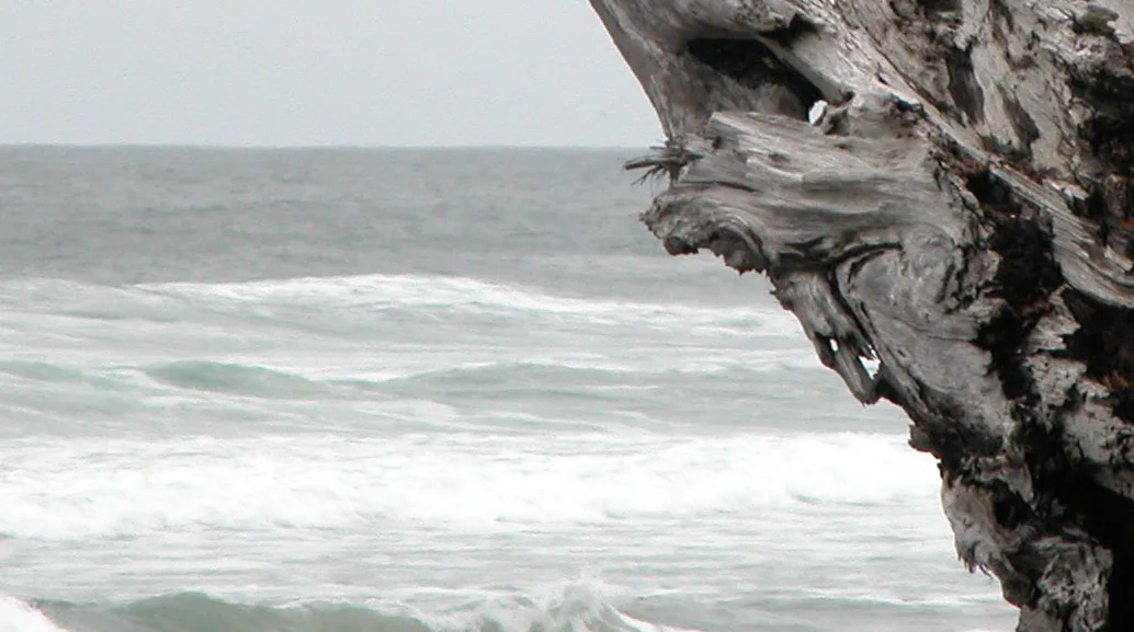 Week 29 - Driftwood - Part Two